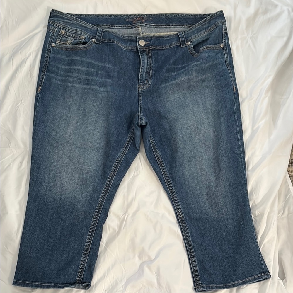 Melissa McCarthy Seven7 Blue Cropped Ankle Jeans